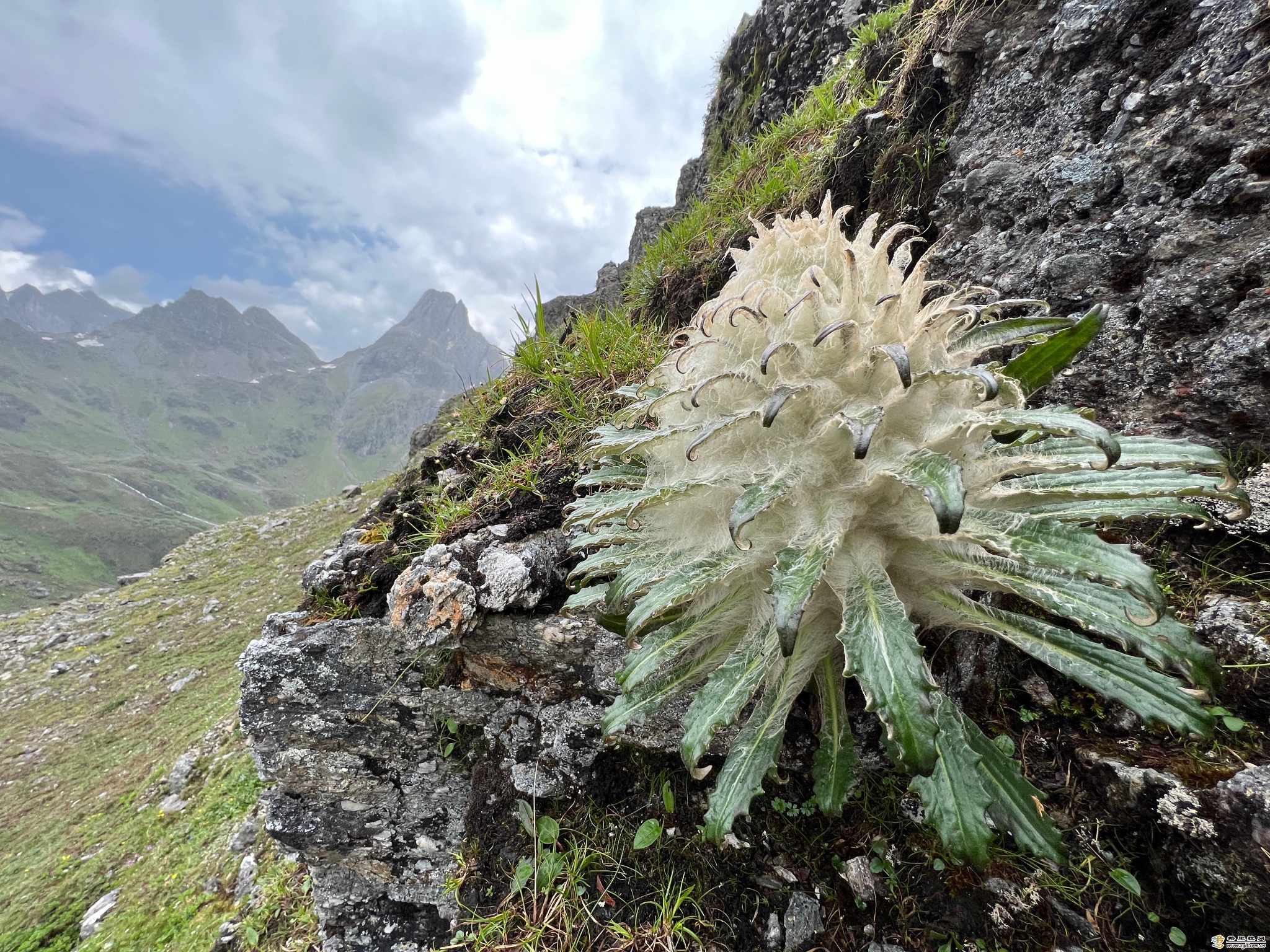 南姐洛6 南姐洛6