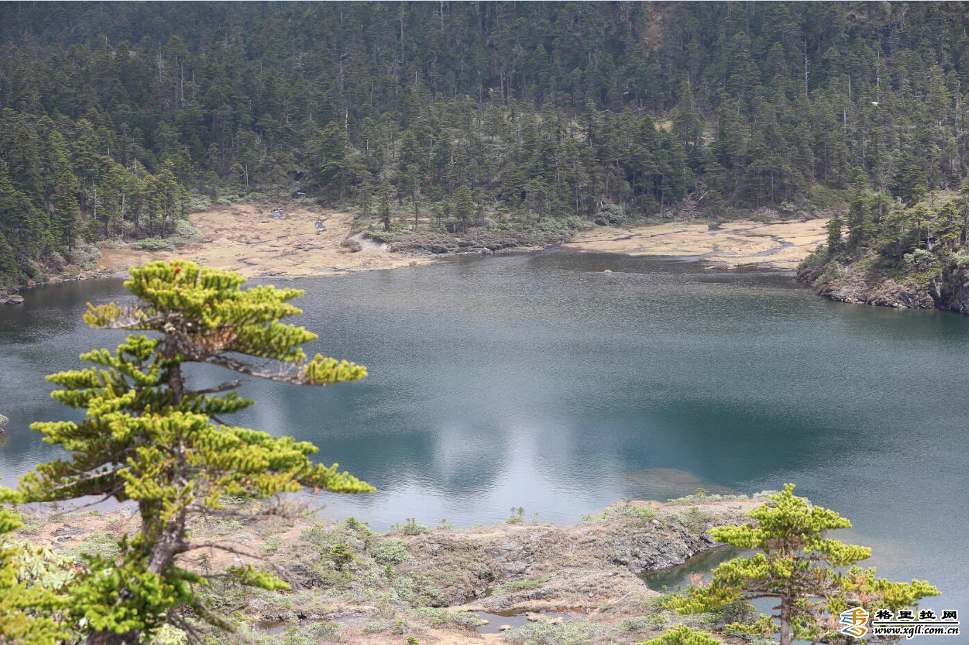 南姐洛9 南姐洛9