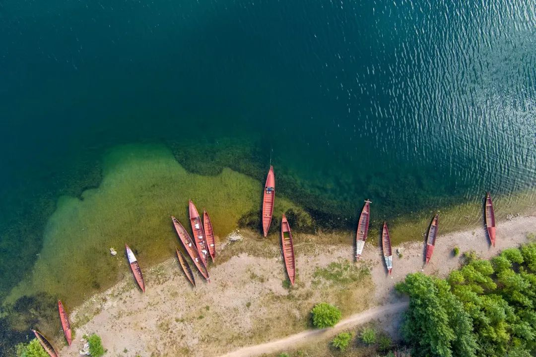 1126321_2048x2048 1126321_2048x2048