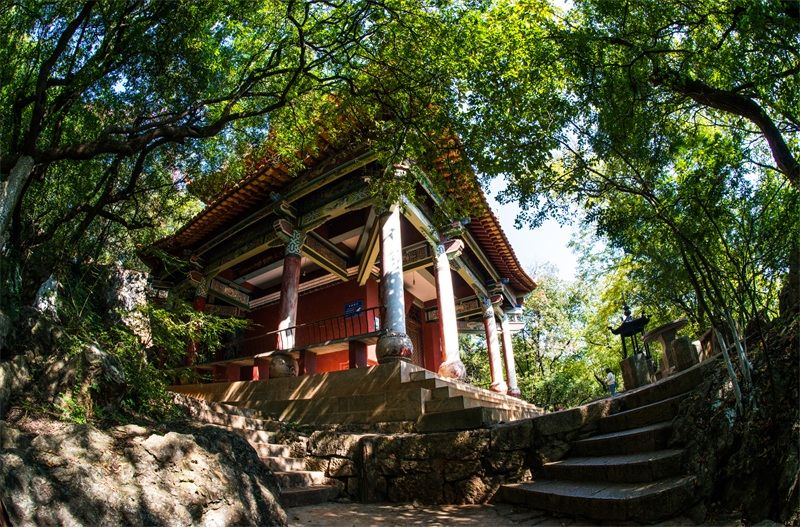 1126324_2048x2048 1126324_2048x2048