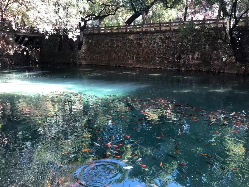 1126325_2048x2048 1126325_2048x2048