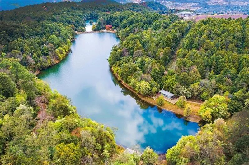 1126328_2048x2048 1126328_2048x2048