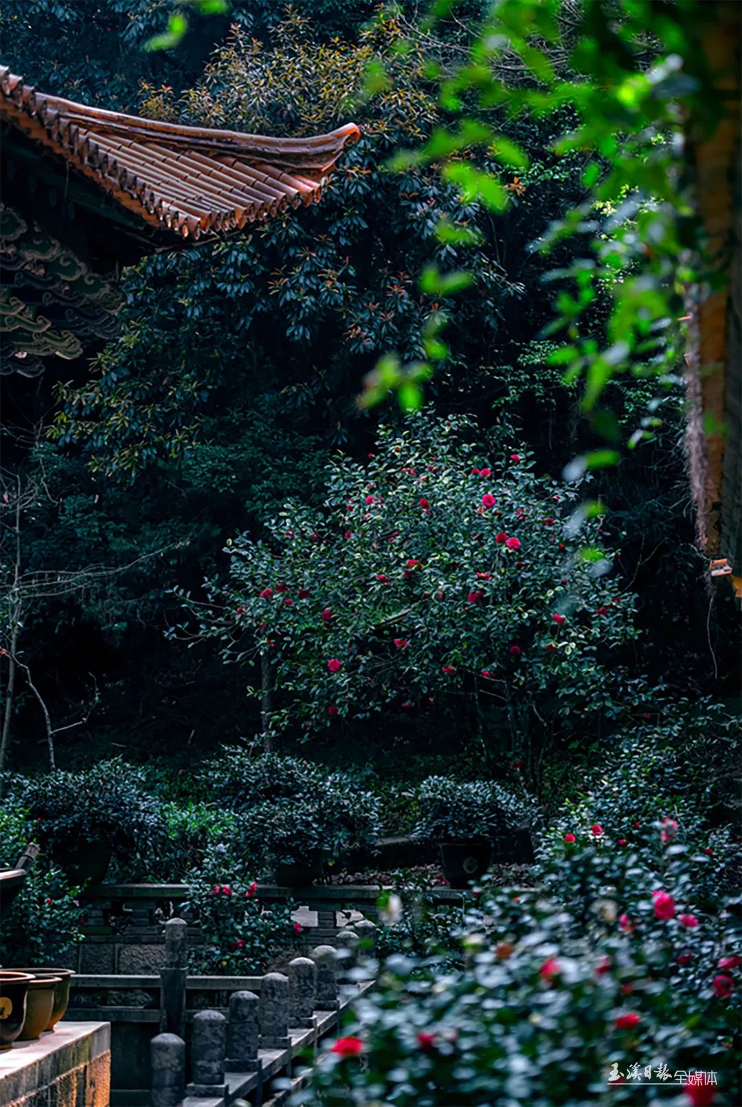 1126330_2048x2048 1126330_2048x2048