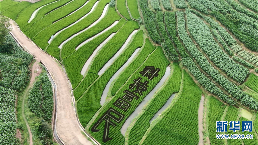 1310641220_16577108220011n