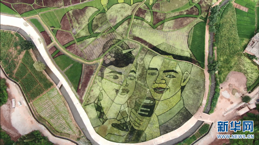 1310641220_16577108220941n