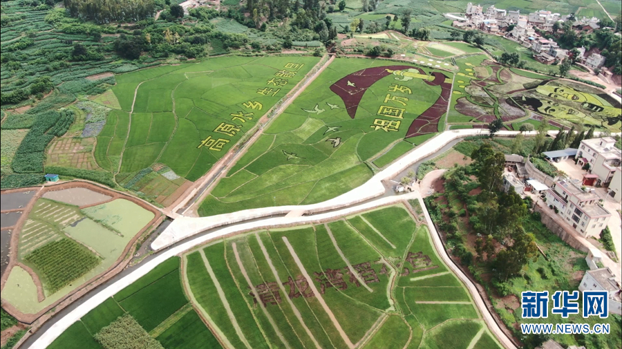 1310641220_16577108221831n