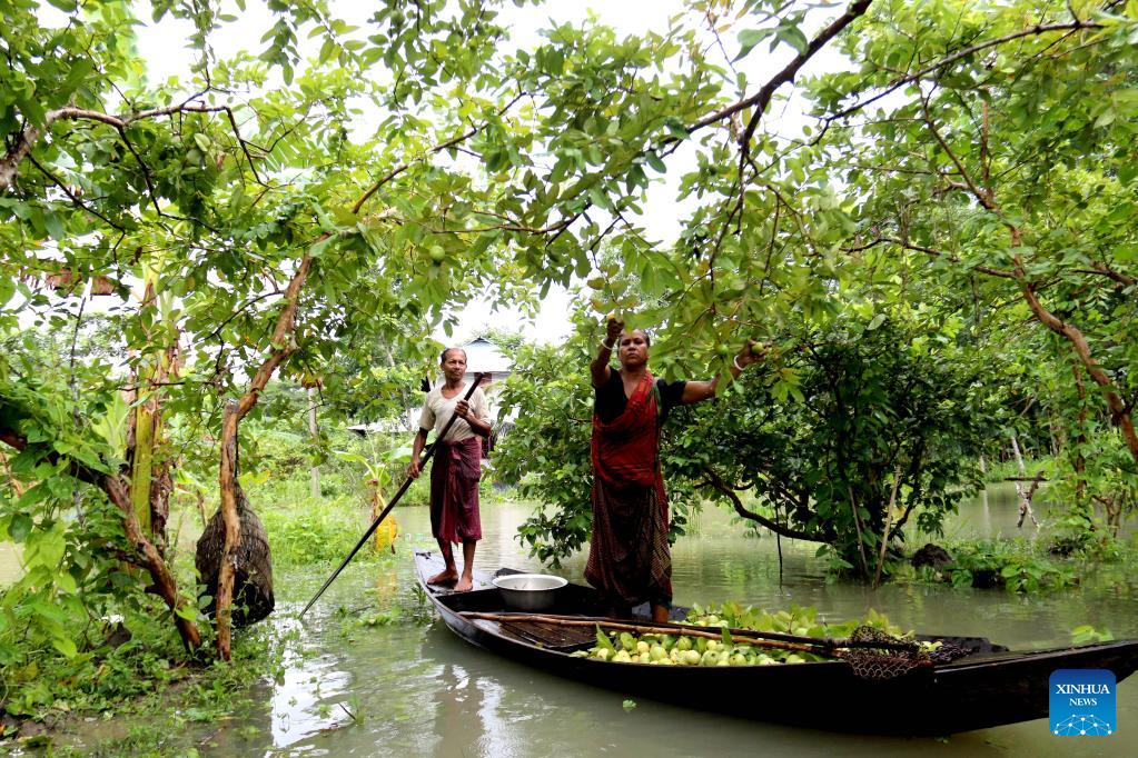 Bangladesh Bangladesh