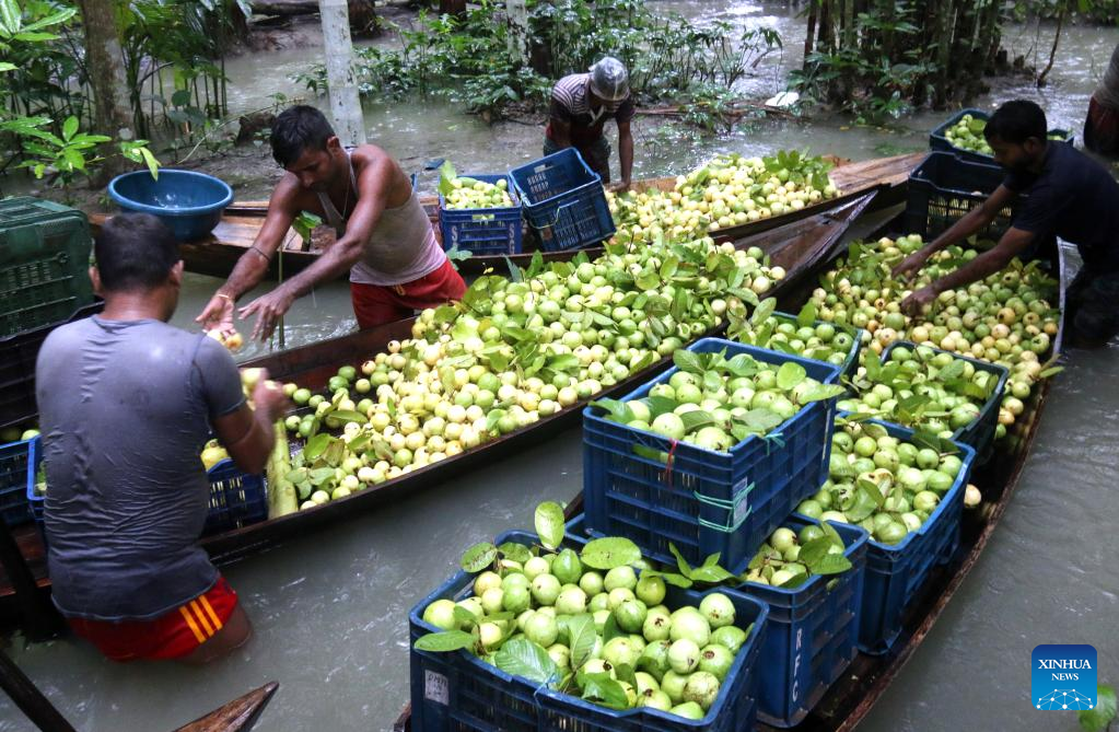 Bangladesh2 Bangladesh2