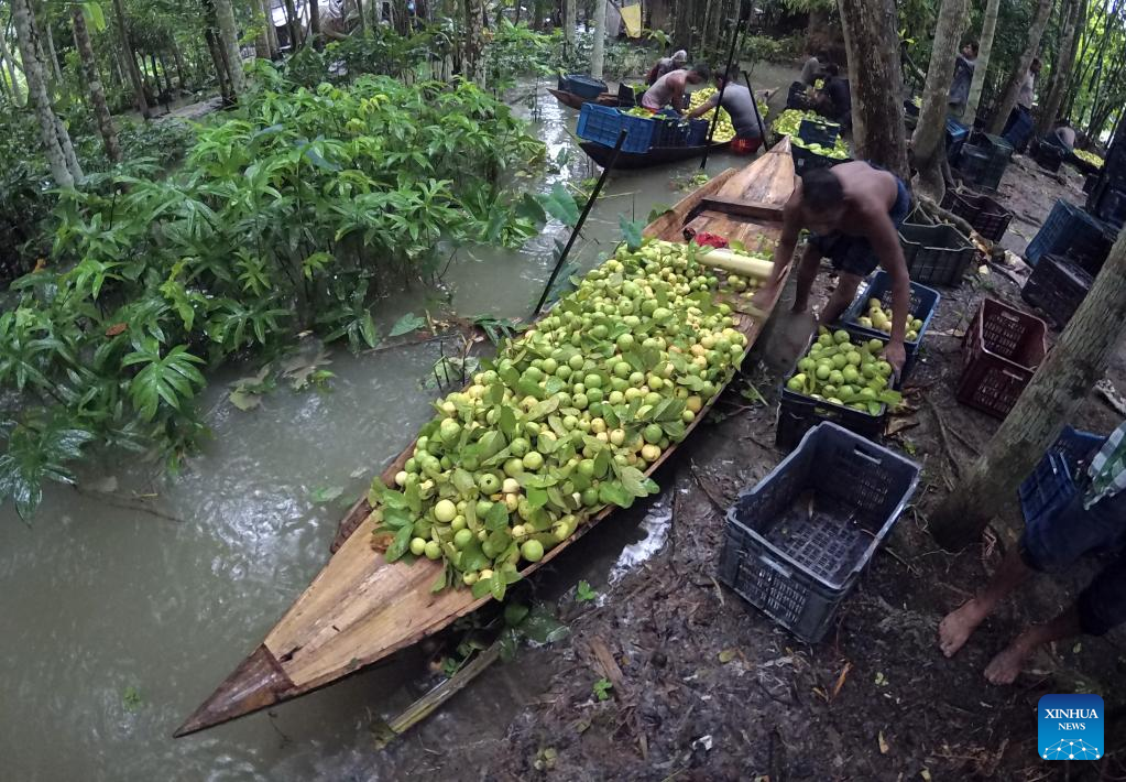 Bangladesh3 Bangladesh3