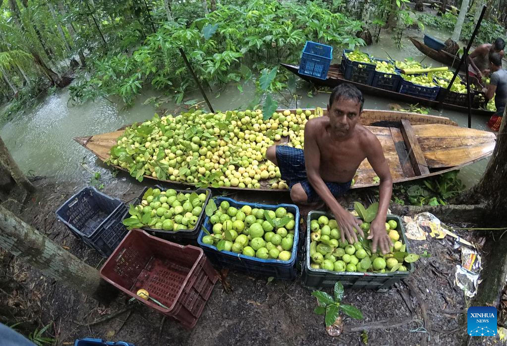 Bangladesh10 Bangladesh10