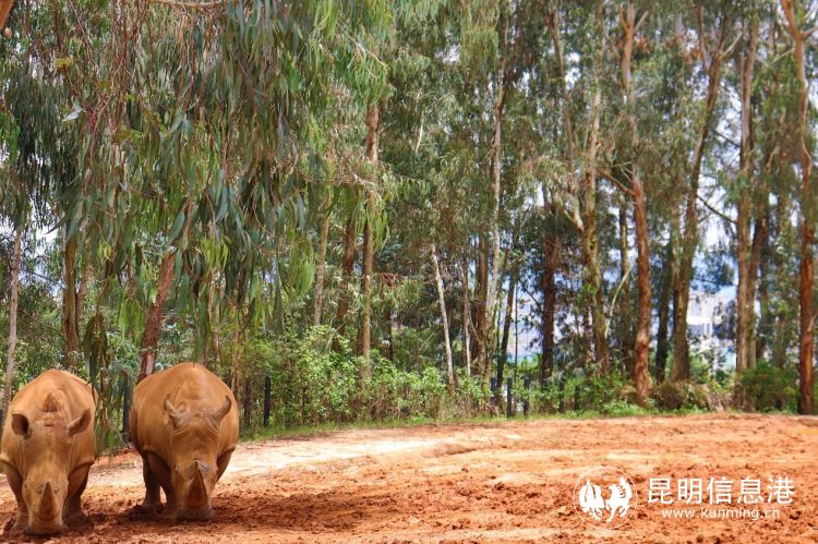 動物園2 動物園2