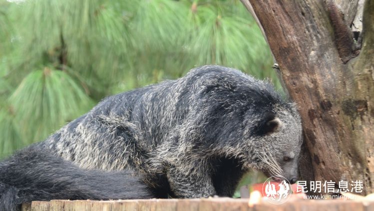 動物園5 動物園5