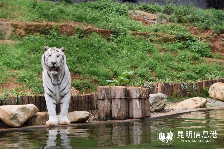 動物園7 動物園7