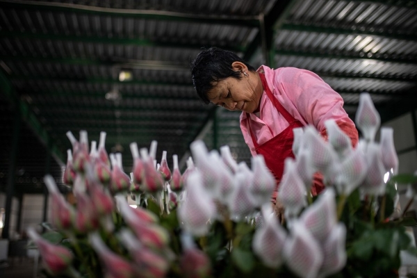 20220819a72fdf6444c84250a678356d66392a68_4209a607-613d-4444-a033-aac7f5d0e6ed 20220819a72fdf6444c84250a678356d66392a68_4209a607-613d-4444-a033-aac7f5d0e6ed