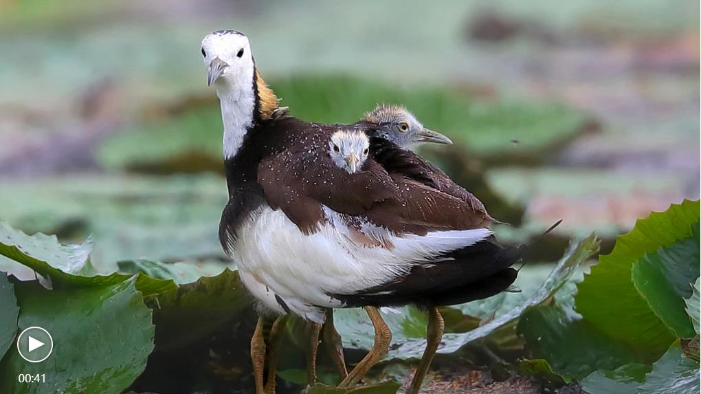 微信圖片_20220902111815