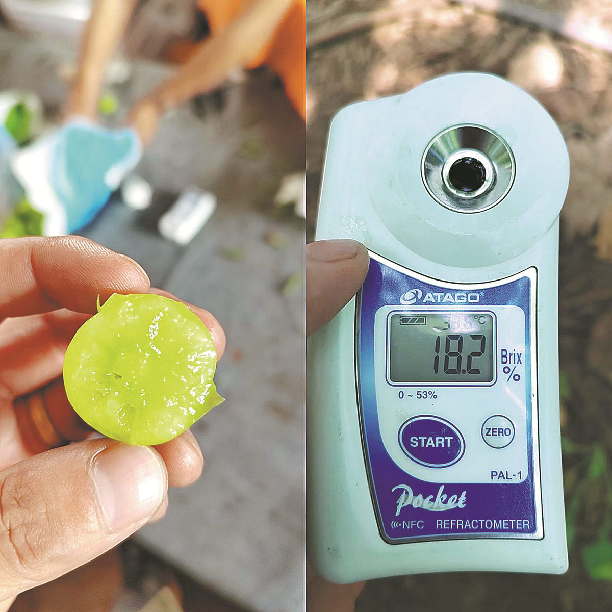 6333a9f4a310fd2beca3e8a4