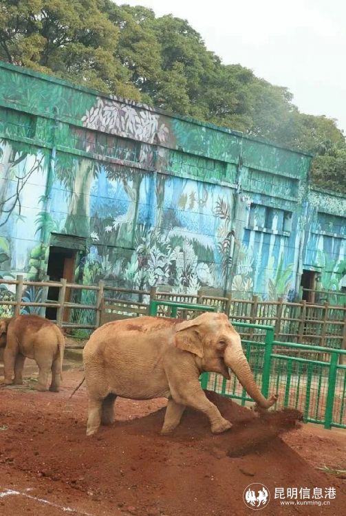 1186658_2048x2048 1186658_2048x2048