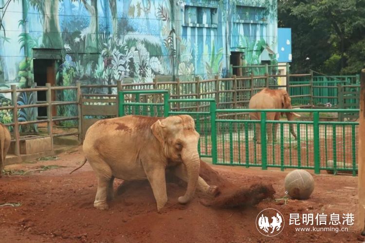 1186661_2048x2048 1186661_2048x2048