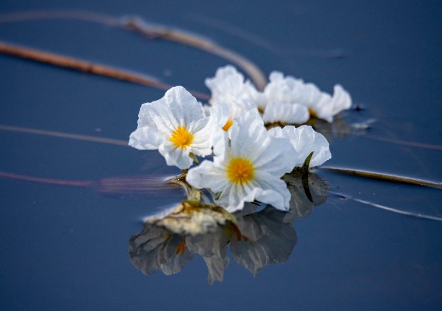 1209323_2048x2048 1209323_2048x2048