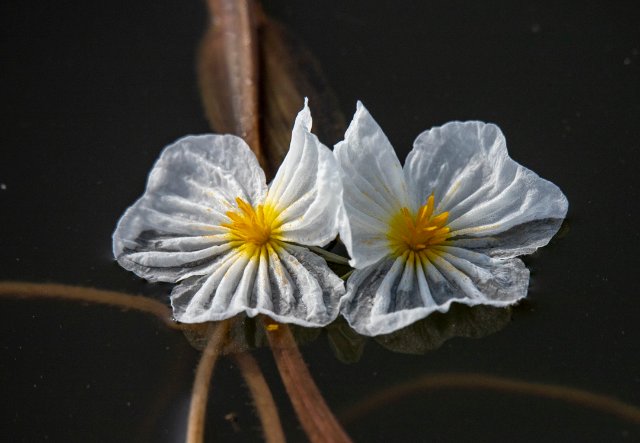 1209324_2048x2048 1209324_2048x2048