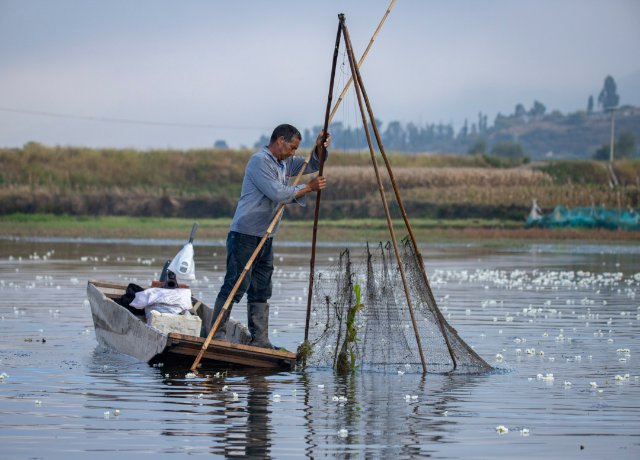 1209326_2048x2048 1209326_2048x2048