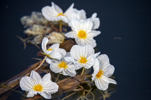 1209327_2048x2048 1209327_2048x2048