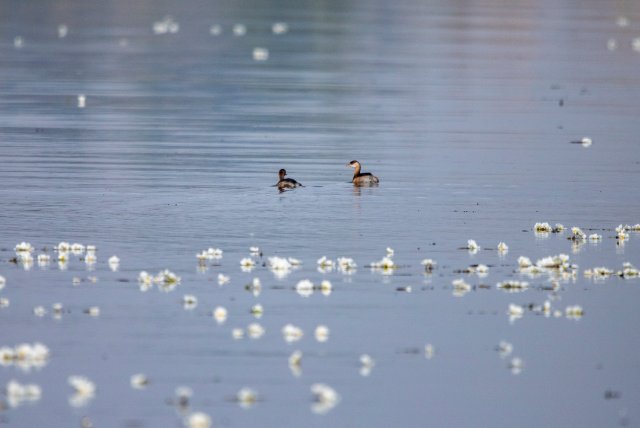 1209328_2048x2048 1209328_2048x2048