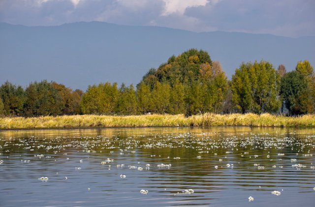 1209329_2048x2048 1209329_2048x2048