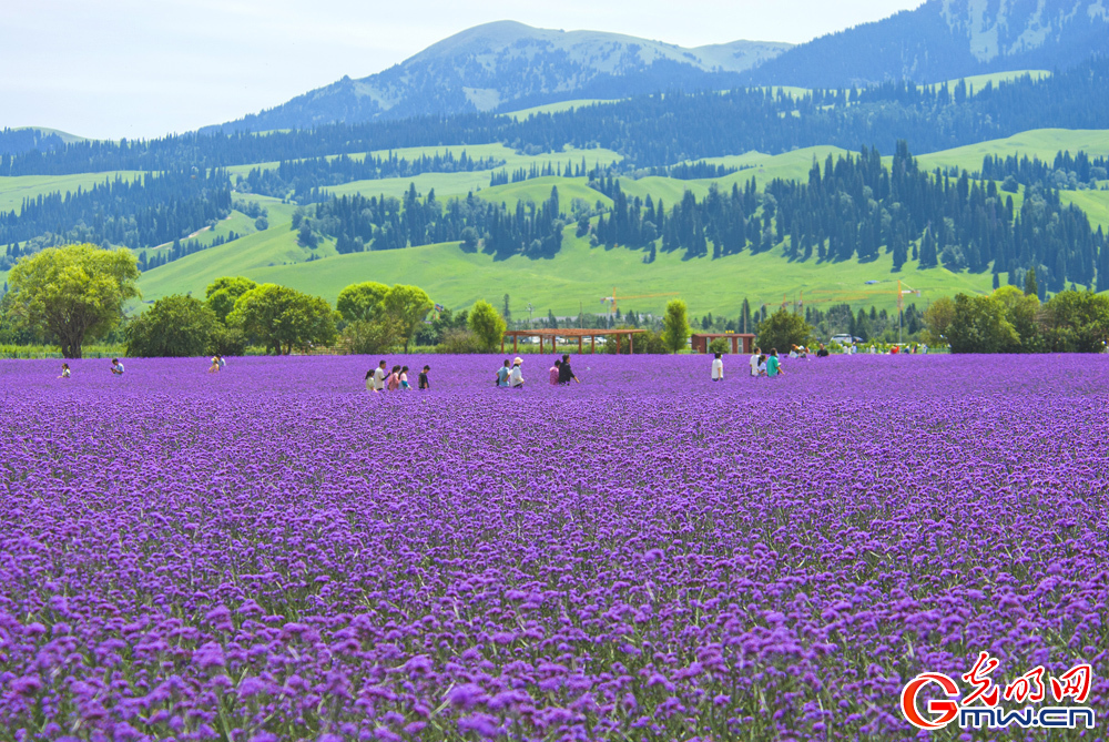 What is Xinjiang really like?