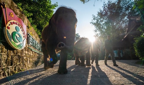 1249226_2048x2048 1249226_2048x2048