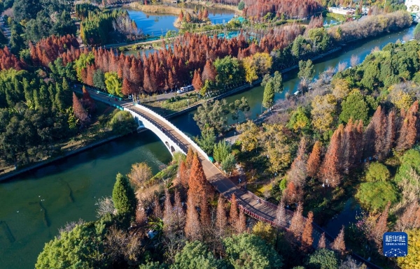 1310688596_16729658289781n 1310688596_16729658289781n