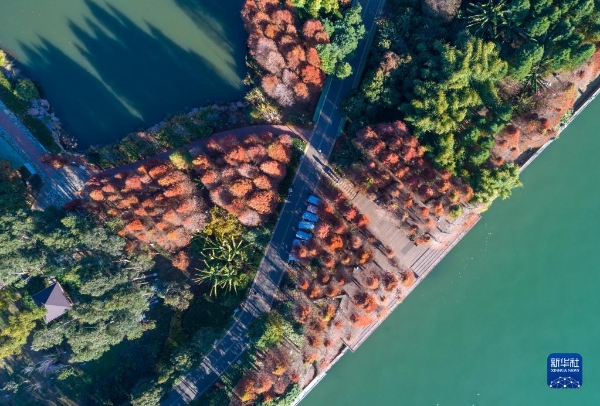 1310688596_16729658290591n 1310688596_16729658290591n