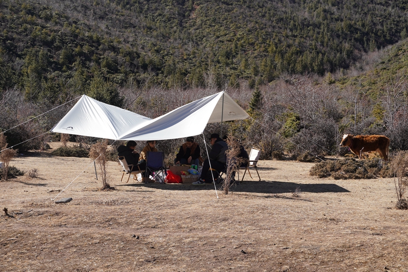 1303814_2048x2048 1303814_2048x2048