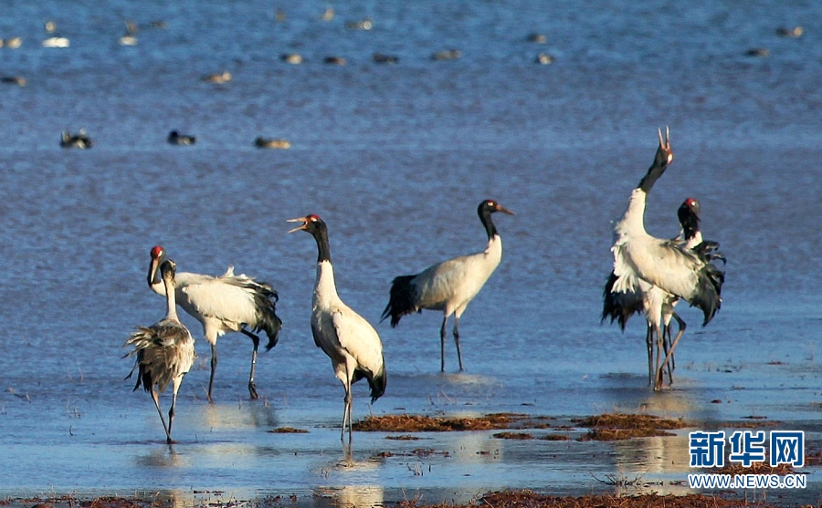 1310694638_16753423427161n 1310694638_16753423427161n