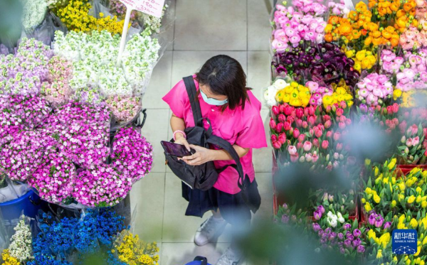 image.png (1) image.png (1)