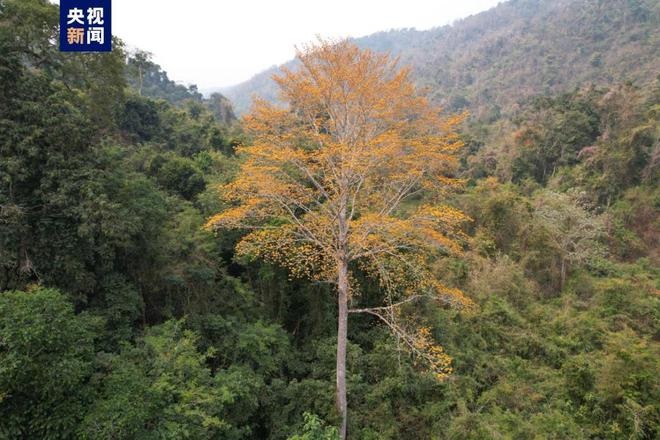 641bb93da31057c4b4b7cace