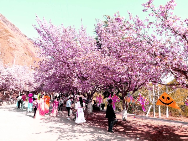 1373332_2048x2048 1373332_2048x2048