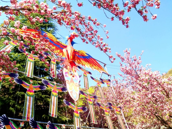 1373333_2048x2048 1373333_2048x2048