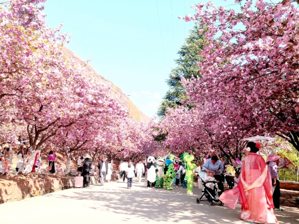 1373334_2048x2048 1373334_2048x2048