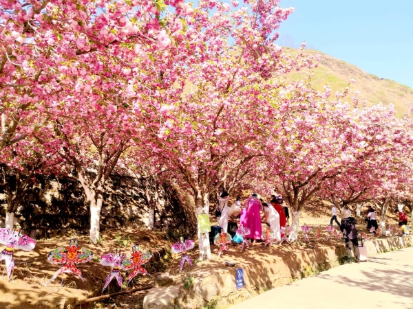 1373336_2048x2048 1373336_2048x2048