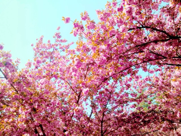 1373337_2048x2048 1373337_2048x2048