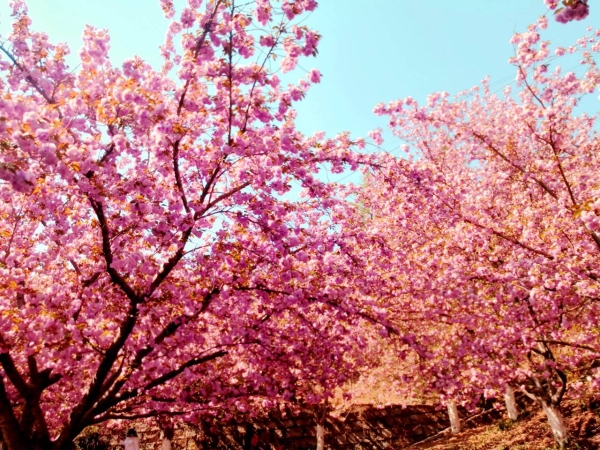 1373338_2048x2048 1373338_2048x2048