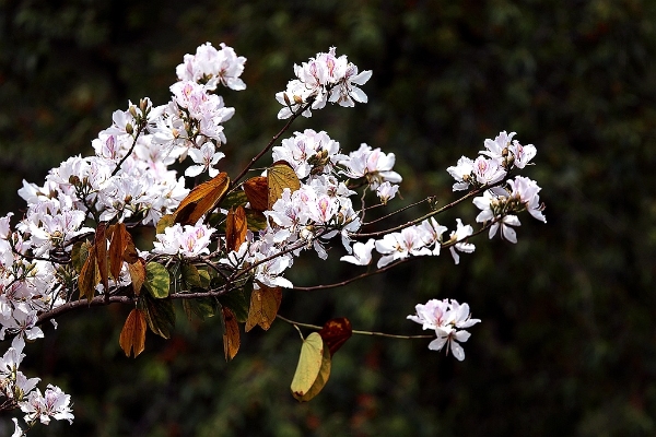 1371511_2048x2048 1371511_2048x2048