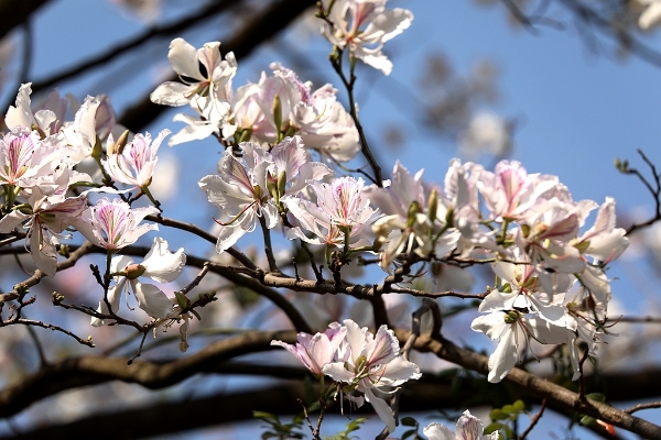 1371515_2048x2048 1371515_2048x2048