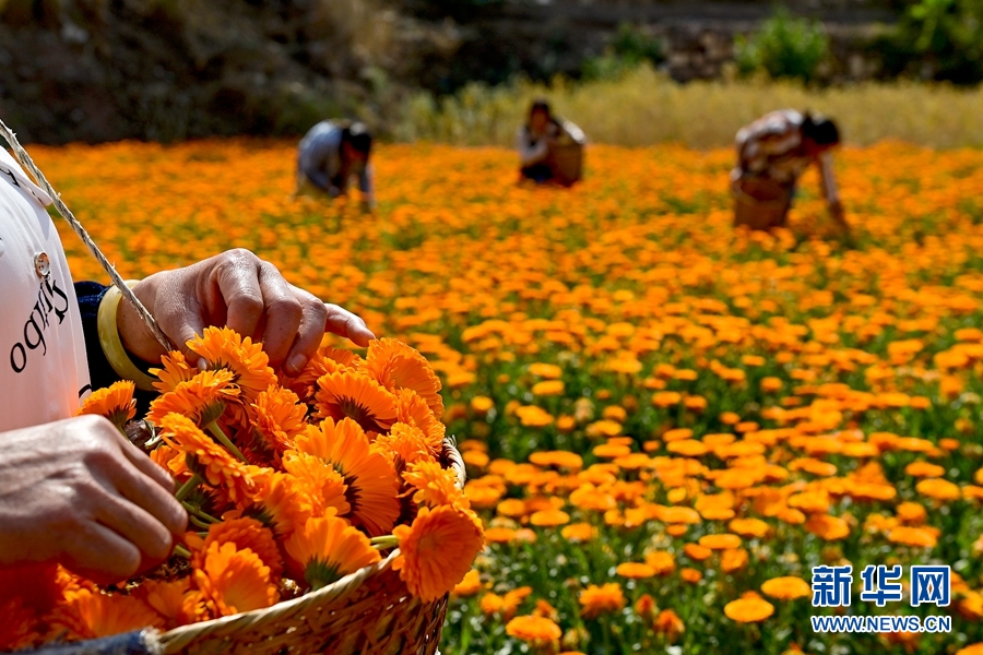 1381931_2048x2048 1381931_2048x2048