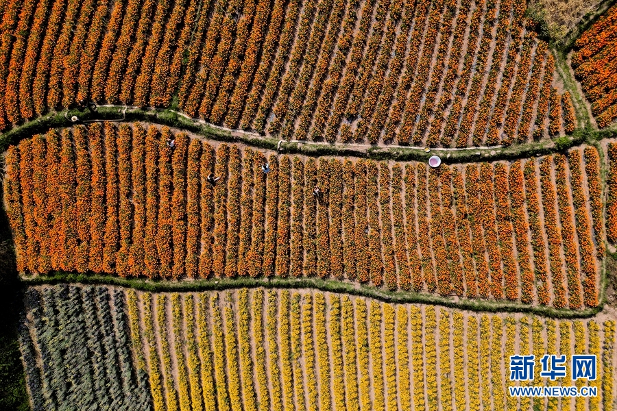 1381932_2048x2048 1381932_2048x2048