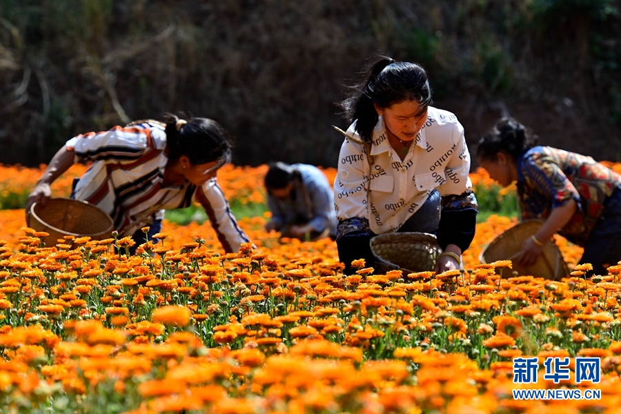 1381933_2048x2048 1381933_2048x2048