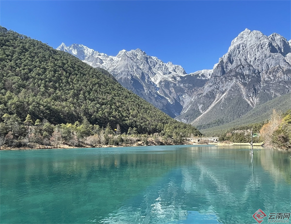 1381495_2048x2048 1381495_2048x2048