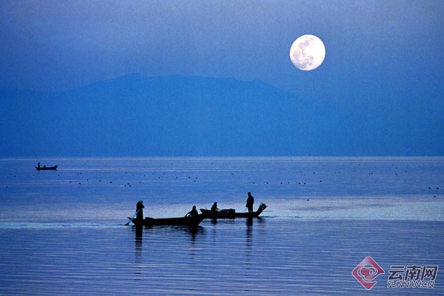 1381497_2048x2048 1381497_2048x2048