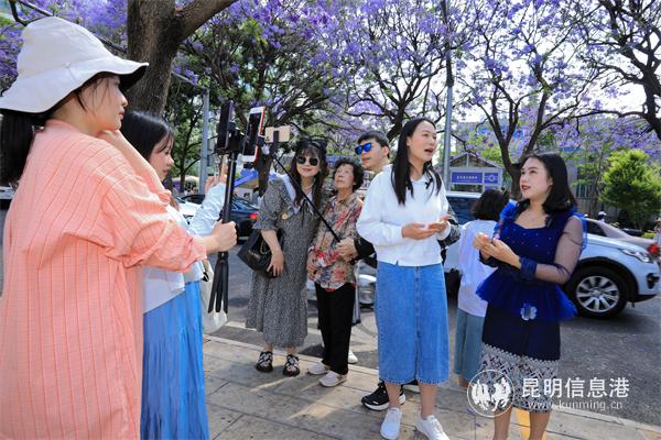 兩位主播在教場(chǎng)中路直播藍(lán)花楹盛放美景，讓海內(nèi)外網(wǎng)民足不出戶就能在線開(kāi)啟夢(mèng)幻之旅。寧夏攝影家協(xié)會(huì)會(huì)員溫利 攝